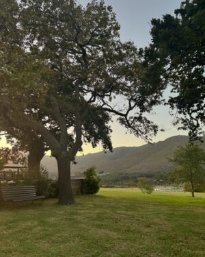Athena Karkanis Instagram - Stanford Valley and Hermanus, also known as as the place I live in my dream life 😍