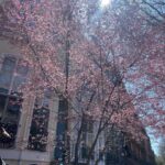 Athena Karkanis Instagram - Spring glorious spring!! After that looooong dark winter it’s especially rejuvenating! Happy Easter 🐰🐣🐇 !