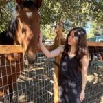Aubrey K. Miller Instagram - Happy World Vegan Day!! Live with compassion towards all! ♥️ #Vegan #AnimalLover #PlantBased