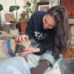 Audra McDonald Instagram - After a lovely day filled with a cheeseburger and fries, hanging out in his bed next to a cozy fire, and lots of snuggles and love, Sweet Butler Elizabeth Eggfartson passed peacefully over the rainbow bridge today surrounded by his family who loved him so very much.Our hearts are broken. He was such a good boy. We will miss him forever. #ButlertheTailWaggingDoggy 💔🐕🌈❤️