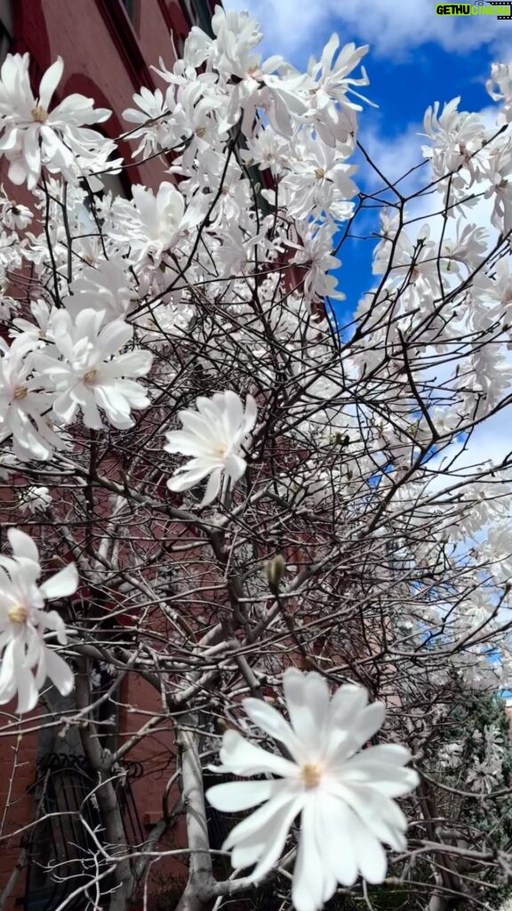 Audrey Esparza Instagram - 🌸🌸🌸first signs of spring