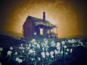 August Kamp Instagram - exoplanetary cottage studies - born from a complicated mix of feelings embedded within cottage-core and adjacent colonial-derivative aesthetics - compartmentalizing dreams of expanding human colonization to strictly UNowned and UNinhabited worlds - "Trailblazing Without Trampling since 2843"