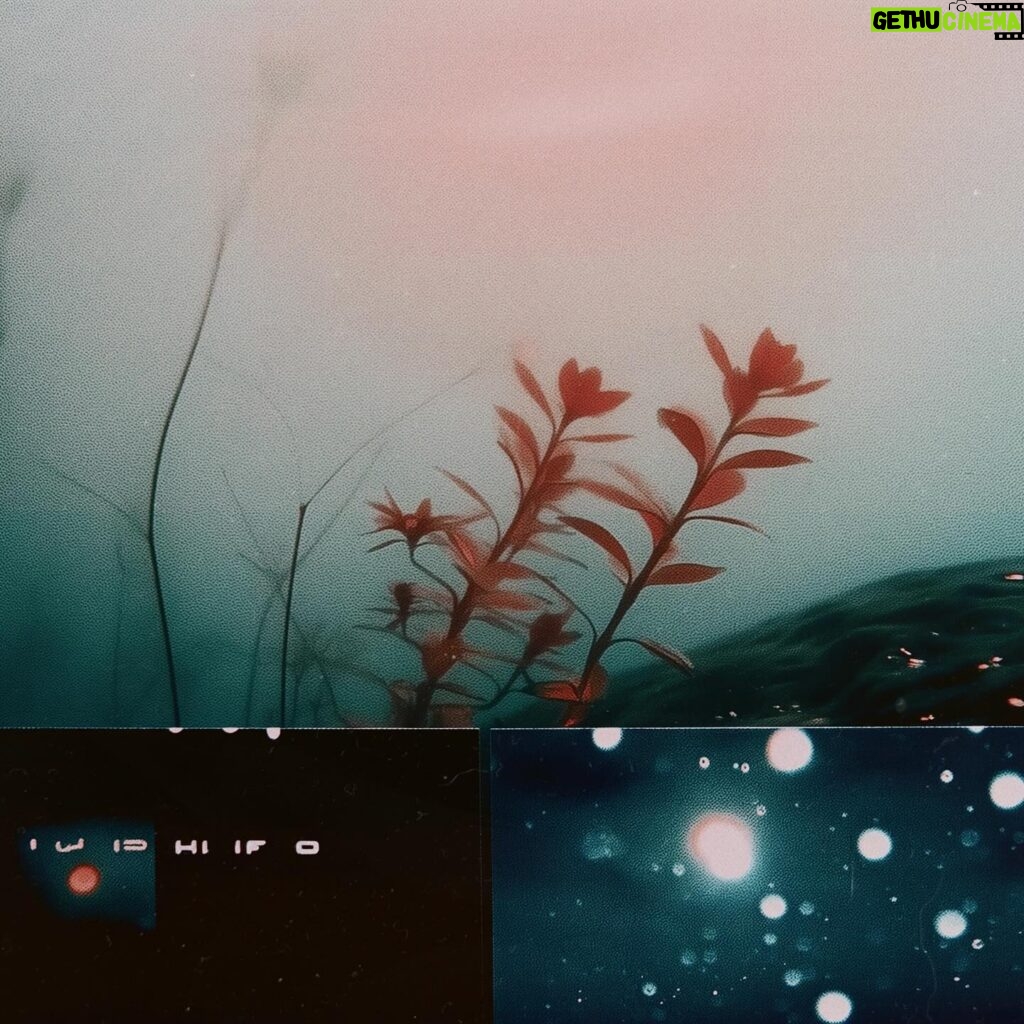 August Kamp Instagram - anomaly botanical studies