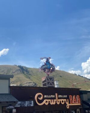 Aurora Perrineau Instagram - Jackson hole 🦬