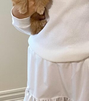 Aviva Drescher Instagram - We have a new little one! What a Xmas!!!!!! 🐶 🎄