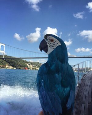 Ayşe Hatun Önal Instagram - 