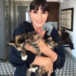 Ayşegül Aldinç Instagram - Bu yazıyı yazmak için çok düşündüm. Laf yermiyim diye bi tırstım! ilk satırlarımda böyle bir gizem mayası kabartma nedenim meraklanıp devamını okuyasınız diye! Bu tavrımla kendimi “Post’umu (ayı postu!) beğendiyseniz yorum yerine bi noktacık olsun koyunuz” yazan, “Vücüütümüzün neresine basarsak neremiz iyileşir?” yollu videolarını bizden esirgemeyen veya “Kapuskanızın bahar ferahlığında kokması için n’aapmalısınız?” şeklinde hayatlarımızı kolaylaştıriim derken “Hangi birini yapıcem?” diye kafakarış edip beynimizi sütlaca çevirip yanmasına neden olan (fırın sütlaç!) insan suretlerine indirgediğimin de farkındayım söylemesi mahçubiyet verici! 😌😌😌 Gelişme: Bu hafta size İnstoş hesapları @aysegulunkedileri8 olan kedilerimden bahsediciim. Takip mahiyetinde biraz coşturalım istedim. (A hiç işim olmaz diyenler için üst katta salonumuz mevcuttur!) 🐈🐈🐈 Dünyayı güzelleştirmek, insanoğluna mutluluk vermek için yaratılmış bu estetik varlıklar huy olarak birbirinden kar tanesi kadar apayrı. “Nolucak canım alt tarafı…” diye başlayan bir cümle kuramayacağınız tek canlı kedi bence. Bir de sanılanın aksine sahibi kediyi değil, kedi sahibini seçiyor. 🐈🐈🐈 @aynuraydin cığımın sahiplendirdiği kız kedim delişmen Zuzu bir kuyruk güzeli; sanırsın pederi sincap! Erkek kedim haşmetli Miu, kucaksevmez bir kedi. Minder gibi bedenini bi o yana bi bu yana mayalanmış hamur misali yayan genç irisi Miu’nun kumaş emikleme huyu mevcut. Lanolin maddesi ana sütünü anımsattığından annemin kucağında, diz battaniyesini emikleyip duruyor. İlişkimiz, ben hamle yapmasam sıfır! Sanal bi kedi kendisi! 📚📚📚 Bu arada üç hafta dolmadan kitabım için 2. baskı talebi geldi. İlginize bin teşekkür. 🙏🏼🌹 Çoklu baskılara gelesice kitapçığımı kitapçınızdan ısrarla isteyiniz. Olmadı kitapçının önüne kendinizi zincirlen bağlayınız!😄😄😄 Bugün Dünya Kedi Günü. Hani biraz bulutlar dağılsın diye bizimkileri yaziim dedim. Malûm sebepten dolayı Kediler Günü kutlu olamıyor. ancak katil tutuklandığında bu mümkün olabilir! Bu ve benzeri yaşam formlarından âzâde bir dünya dilerim.😌 Sakin hafta sonları…🌱🐈 #DünyaKedilerGünü #kedi #pazar #malumatfuruş #ayşegülaldinç #kitap #ayşegülüngünlüğü