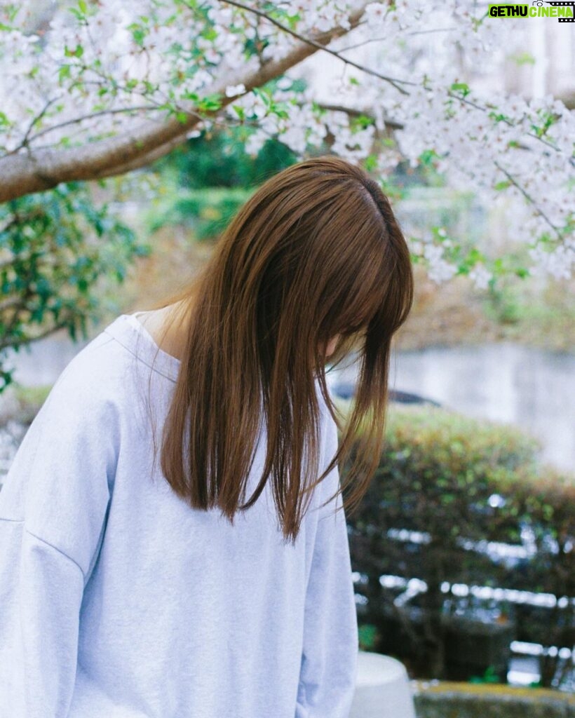Ayaka Konno Instagram - もう葉っぱになってからずいぶん経ってるけど！ 載せちゃう！！