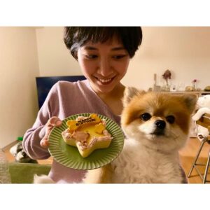 Ayako Yoshitani Instagram - コンタくん、
11月1日で５歳の誕生日でした🎂

ダイエット中なので、
ケーキは小芋ちゃんと半分こ🐶

実は後ろで見てる小芋。笑