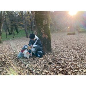 Ayako Yoshitani Instagram - あけましておめでとうございます🎍

2022年本当に素敵な一年になりました。

2023年も皆様に楽しんでいただけるような作品をお届けしていければと思っております😌

暖かくして、
良い正月をお過ごし下さい〜☺️

by吉谷彩子・こんた・こいも