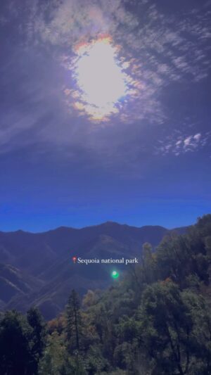 Ayame Tachibana Instagram - North California : セコイア国立公園
📍Sequoia national park 

地球上最大の生体、高さ１００ｍ
樹齢3000年にも達すると言われる

セコイア森林が密集する
セコイア国立公園🌳🌲

木がデカいのなんの！！！
小人になった気分になれます🧚♡

—

世界最大の体積に育つ
ジャイアントセコイアは

たった１本で！
アメリカの平均的な家が数十軒建てれるそう🏠🌲

実際に1800年代には
何千本もの木が家の建築のために
伐採されました🌲🪚

後に、この木は
裂けやすいため建築には向かない🌀

ということが分かり
大伐採が終わります。

沢山の木々が消えていく中
生き残っている木々が

樹齢2000年超えしている
レジェンドたちなのです❤️‍🔥🌲🌳🔥

-—

ところどころ
木が燃やされているのは

わざとで💡

セコイア巨大樹木は
多少燃やして、試練を与えることで
更に強くなるんだとか！

皮膚をリカバリーする為に
生命力をグンと発揮して
どんどん皮膚を強力にしていくらしい🌲🔥

(人間でいうと、お肌のレーザーみたいな💡
焼いて新しい皮膚を作り出す的な)

そして、燃やされたタイミングで
子孫繁栄する為に
松ぼっくりから大量に種を放出します☄️

こうして一度は
人間によって消されかけた森林も

人間の手によってまた
復活できたと思うと、良かったなぁって
思います🥹🪽

【樹齢2000年超えの秘訣】

⚫︎十分な日光
⚫︎火で適度に燃やす
⚫︎適度な水
⚫︎栄養のある土
⚫︎成長するに十分なスペース
⚫︎地盤がしっかりしているところ

------

Northern California
📍Sequoia national park

Largest living thing on earth, 100m tall
It is said to be up to 3000 years old

dense sequoia forest
Sequoia National Park🌳🌲

Grows to the world's largest volume
giant sequoia is

Just one bottle!
It seems like dozens of average American homes could be built🏠🌲

In fact, in the 1800s
Thousands of trees used to build houses
It was felled🌲🪚

However, later this tree
Not suitable for construction as it is easy to tear.
Once this was realized, the large-scale felling was completed.

While many trees are disappearing
the trees that survive

The tree is over 2000 years old
They are legends ❤️‍🔥🌲🌳🔥

here and there
wood is being burned

On purpose 💡

giant sequoia tree
By burning it a little and giving it a test
It will become even stronger!

to recover the skin
Demonstrate your vitality to the fullest
It seems like it keeps making the skin stronger 🌲🔥

(For humans, it's like a laser on your skin 💡
Burn it to create new skin)

And at the moment it was burned
for descendants to prosper
A large amount of seeds are released from the pine cones☄️

[The secret to a tree that is over 2000 years old]

⚫︎Enough sunlight
⚫︎ Burn moderately with fire
⚫︎Adequate water
⚫︎Nutritious soil
⚫︎Enough space to grow
⚫︎Where the ground is solid