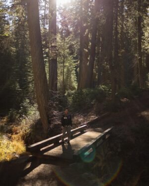 Ayame Tachibana Instagram - 📷@j.leelegacy 
#sequoia