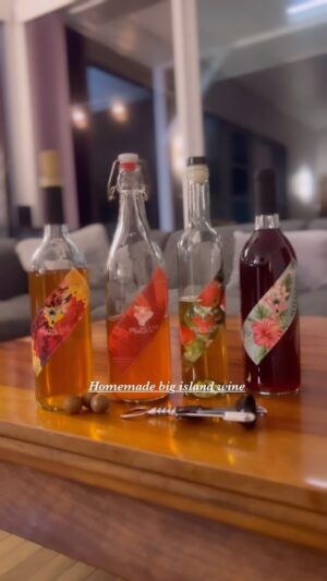 Ayame Tachibana Instagram - 【Homemade Big island Wine🍷 】

⚫︎Big island made co.
Made from @aldonhara 

The handmade wines from Hawaii big island 🏝️ 
he makes are lovingly crafted and aged to develop a delicate, rich flavor wine 🍷 ✨

------

ご趣味で、自家製ワインを作る
ヒロにお住まいの原さん✨

一年熟成させて
完成したワインをみんなに
振る舞ってくれました🥹🌹✨

私は、禁酒が絶好調だったので
「お酒はもぅ飲まない」と思っていたけど

人が愛情込めて1年熟成させて
完成したワインを一口いただいたら

ウマ過ぎて

ぶっとび🥹❤️‍🔥❤️‍🔥❤️‍🔥

ヒロには才能あふれる
素晴らしい人々が住んでいて
私は嬉しいっ☺️✨

久しぶりにアルコールいれたら
だいぶ体がゆるみました🌸

なんでも、適度に
バランスだなぁと改めてメモメモ📝

#homemadewine 
#自家製ワイン
#手作りワイン