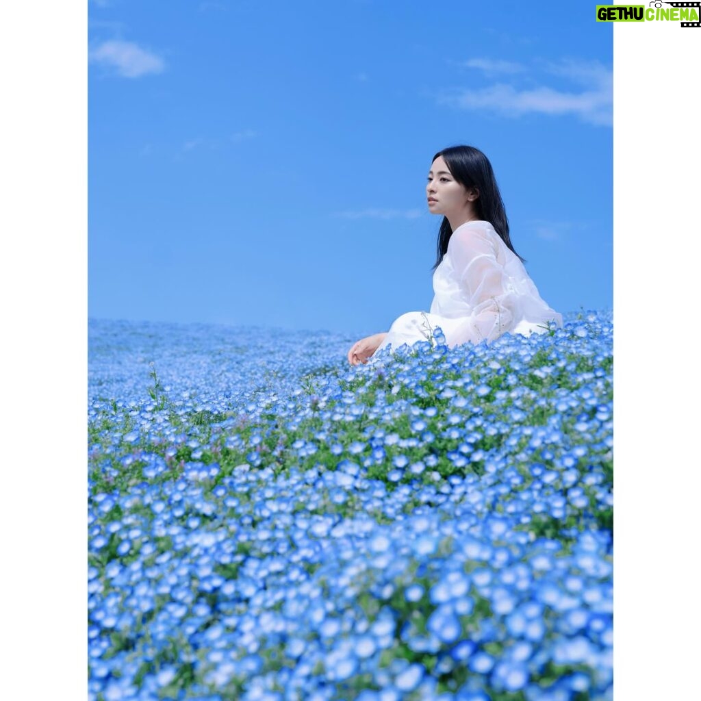 Ayame Misaki Instagram - #青い空 #ネモフィラ #Nemophila #空 #ブルースカイ #いいお天気 #데일리룩 #오오티디 #셀카 #푸른 #하늘　#攝影 #拍攝 #蓝天 #蓝天白云 #カメラ #ポートレート #写真 #photo #photography #photography #portrait