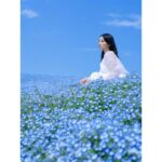 Ayame Misaki Instagram – #青い空 #ネモフィラ #Nemophila
#空 #ブルースカイ #いいお天気
#데일리룩 #오오티디 #셀카 #푸른
#하늘　#攝影 #拍攝 #蓝天 #蓝天白云
#カメラ #ポートレート #写真 #photo #photography 
#photography #portrait