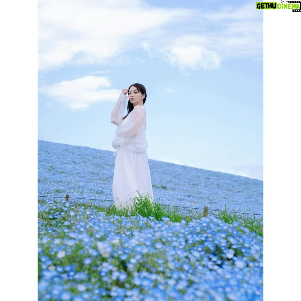 Ayame Misaki Instagram - #青い空 #ネモフィラ #Nemophila #空 #ブルースカイ #いいお天気 #데일리룩 #오오티디 #셀카 #푸른 #하늘　#攝影 #拍攝 #蓝天 #蓝天白云 #カメラ #ポートレート #写真 #photo #photography #photography #portrait