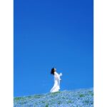 Ayame Misaki Instagram – 35歳まで&写真集発売まであと2日。

#青い空 #ネモフィラ #Nemophila
#空 #ブルースカイ #いいお天気
#데일리룩 #오오티디 #셀카 #푸른
#하늘　#攝影 #拍攝 #蓝天 #蓝天白云
#カメラ #ポートレート #写真 #photo #photography 
#photography #portrait