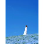 Ayame Misaki Instagram – 35歳まで&写真集発売まであと2日。

#青い空 #ネモフィラ #Nemophila
#空 #ブルースカイ #いいお天気
#데일리룩 #오오티디 #셀카 #푸른
#하늘　#攝影 #拍攝 #蓝天 #蓝天白云
#カメラ #ポートレート #写真 #photo #photography 
#photography #portrait