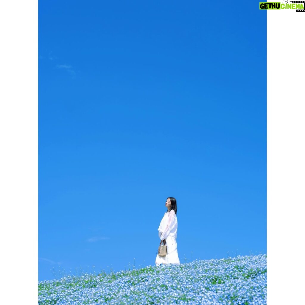 Ayame Misaki Instagram - 35歳まで&写真集発売まであと2日。 #青い空 #ネモフィラ #Nemophila #空 #ブルースカイ #いいお天気 #데일리룩 #오오티디 #셀카 #푸른 #하늘　#攝影 #拍攝 #蓝天 #蓝天白云 #カメラ #ポートレート #写真 #photo #photography #photography #portrait