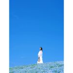 Ayame Misaki Instagram – 35歳まで&写真集発売まであと2日。

#青い空 #ネモフィラ #Nemophila
#空 #ブルースカイ #いいお天気
#데일리룩 #오오티디 #셀카 #푸른
#하늘　#攝影 #拍攝 #蓝天 #蓝天白云
#カメラ #ポートレート #写真 #photo #photography 
#photography #portrait