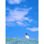 Ayame Misaki Instagram – 35歳まで&写真集発売まであと2日。

#青い空 #ネモフィラ #Nemophila
#空 #ブルースカイ #いいお天気
#데일리룩 #오오티디 #셀카 #푸른
#하늘　#攝影 #拍攝 #蓝天 #蓝天白云
#カメラ #ポートレート #写真 #photo #photography 
#photography #portrait