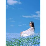 Ayame Misaki Instagram – Nemophila ✖️ blue sky

photographer @r.ph0923 

tops @noisemaker_jpn 

#青い空 #ネモフィラ #Nemophila
#空 #ブルースカイ #いいお天気
#데일리룩 #오오티디 #셀카 #푸른
#하늘　#攝影 #拍攝 #蓝天 #蓝天白云
#カメラ #ポートレート #写真 #photo #photography 
#photography #portrait