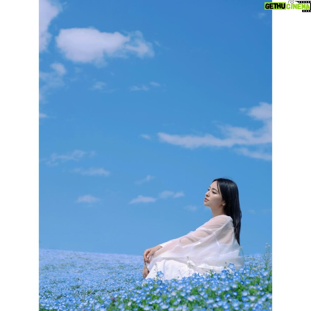 Ayame Misaki Instagram - Nemophila ✖️ blue sky photographer @r.ph0923 tops @noisemaker_jpn #青い空 #ネモフィラ #Nemophila #空 #ブルースカイ #いいお天気 #데일리룩 #오오티디 #셀카 #푸른 #하늘　#攝影 #拍攝 #蓝天 #蓝天白云 #カメラ #ポートレート #写真 #photo #photography #photography #portrait