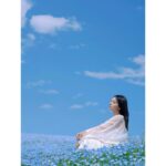 Ayame Misaki Instagram – Nemophila ✖️ blue sky

photographer @r.ph0923 

tops @noisemaker_jpn 

#青い空 #ネモフィラ #Nemophila
#空 #ブルースカイ #いいお天気
#데일리룩 #오오티디 #셀카 #푸른
#하늘　#攝影 #拍攝 #蓝天 #蓝天白云
#カメラ #ポートレート #写真 #photo #photography 
#photography #portrait