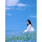 Ayame Misaki Instagram – Nemophila ✖️ blue sky

photographer @r.ph0923 

tops @noisemaker_jpn 

#青い空 #ネモフィラ #Nemophila
#空 #ブルースカイ #いいお天気
#데일리룩 #오오티디 #셀카 #푸른
#하늘　#攝影 #拍攝 #蓝天 #蓝天白云
#カメラ #ポートレート #写真 #photo #photography 
#photography #portrait