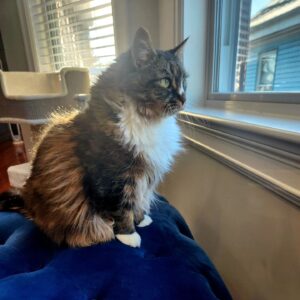 Ayanna Pressley Instagram - It's just another Mancoon Monday, have a great one!  xoxo Sojourner Truth Pressley Harris aka SoJo