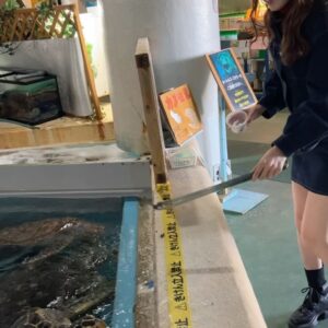 Ayano Kawamura Instagram - #桂浜水族館

桂浜水族館の公式マスコットキャラクターの
おとどちゃんが案内をしてくれました！

高知色が強くてユニークな水族館です😂

エサやりも楽しいですし
コツメカワウソ、アシカ、ペンギン、カピバラなどかわいい動物がたくさんです🦭

サイン書かせてもらったので探してみてね😉
#ANGERME#アンジュルム#川村文乃#かむ高知観光#高知県#高知市#えいね高知市