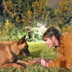 Aydan Şener Instagram - Aşkk..❤️🐕 #argos💞 photo by @oguzhannsener
