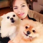 Aydan Şener Instagram - Sevgili @mysingerpets hazırlamış..canım deyzi'm bana şarkı söylüyor..🐩🐕 Mutlu hafta sonları ❣❣