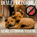 Aydan Şener Instagram - Sistemli ve hızlı bir şekilde kısırlaştırmak çözümken bu canlara nasıl kıyacaksınız.. 🐕 En az sizin kadar onlarında yaşamaya hakkı var..Toplayıp o sefil barinaklariniza tikmakta değil,kısırlaştırıp doğal ortamlarına bırakmaktır tek çözüm..Artık vicdansızlıkta sinir tanımaz olduk..yazıklar olsun insanlığımıza..