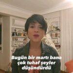 Aydilge Instagram - Bir garip martı hikayesi Bana iyi geldi, umarım size de gelir🥰 #aydilge