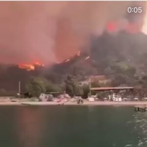 Ayşe Şule Bilgiç Instagram - İnsan, bir ayağı kırık at. Bazen dört nala koşmak istesen de koşamazsın. İçin yana yana, “yeter” diye diye kanıksamak zorunda kalırsın. 
🌺🙏🏻
Şu an bu yangınlara müdehale edemeyen büyük çocunluğumuz  tek ayağı kırık at gibi hissediyoruz. 
🌺🙏🏻
Sanırım tek yapabileceğimiz bu bölgelerin 7-8 yıl içinde bize unutturulup imara açılmasına engel olmak için takipçisi olmak. Hoş orda da çıkıp sen ne yapıyorsun desen türlü iftiralarla algı yaratılıp hepimizin içeri tıkılması da an meselesi olur. 
🌺🙏🏻
Ne büyük çaresizlik… Ne büyük acı… Ben adına ne derse desin yüce bir gücün, bir yaradanın varlığına inanan hiçbir insan evladının bu katliama göz yumacağına inanmak istemiyorum. 
🙏🏻🌺
Başlatan ve durduramayan yani parmağı olan herkesi gönülden inandığım yaradana havale ediyorum. Sen konuyu biliyorsun Allah’ım. 
🌺🌺
#türkiyeyanıyor