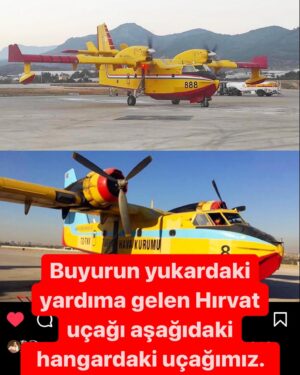 Ayşe Şule Bilgiç Instagram - Bu hangardaki uçaklar için THK eski personellerinin söylediklerini kaydırmalı postu ilerleterek okuyun. Özetle İzin verin uçuralım diyorlar.
🙏🏻🤢
Neden izin verilmiyor? Hurda denen uçaklar yardıma gelen Hırvat uçağı ile aynı. Bakıma ihtiyaçları var onu anladık. İzin verin denesinler. Ve eski pilotları “yaparız” diyor.
🤢🙏🏻
Lütfen izin verin bu uçaklar uçsun! Yangınımız sönsün! 
🤢🙏🏻
@ezomola @sunay.akin @vasif_yucelis @danlabilic @ozgeulusoy #Cl215leriucurturkiye #millicagri @tarimgovtr