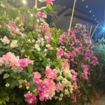 Azi Acosta Instagram - 🌺🌸 @triangleprivateresort