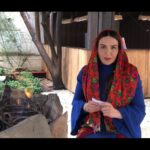 Azita Torkashvand Instagram - پیشاپیش چهارشنبه سوری این سنت و آیین ایرانی مبارک باد. تصمیم گرفتم این کلیپ رو تهیه کنم و زودتر با شما عزیزان به اشتراک بزارم . تا شاید بیشتر مشتاق بشید و در مورد سنت دیرین چهارشنبه سوری تحقیق کنید و لذت ببرید . 🥰به طور مثال قاشق زنی،اهالی محله چادرهای رنگی بر سر می کردند و در یک دست قاشق فلزی و در دست دیگر کاسه روحی و آنها را بهم می زند و به درب خانه ها رفته و صاحب خانه با شنیدن صدای قاشق زنی که نویدی از عید و اعلام شب چهار شنبه سوری می باشد با شیرینی و شکلات قاشق زن را پذیرایی می کرد و شعر و آواز مربوط به رسم قاشق زنی در محل خوانده می شد و پریدن از روی آتش و شادی. آیین و سنتی های ما ریشه در فرهنگ و تاریخ غنی ما دارد با همان صفا و سادگی ایرانی.ما ملتی تمدن ساز هستیم #چهارشنبه_سوری #قاشق_زنی_چهارشنبه_سوری #بهار #آزیتا_ترکاشوند