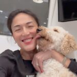 BB. Gandanghari Instagram – #latePost: missing Imman and Bogart!🐶🐕
.
Absence makes the heart grow fonder…💔
.
#alliWantisYou ❣️💯