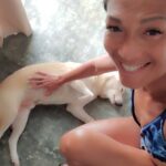 BB. Gandanghari Instagram – #companion: taking turns in keeping me company❣️🐕💯
.
#BBGandanghari #Siargao #Travel #EPBliss #Accommodation #islandDogs #IslandAdventure #threesCompany 💕💋