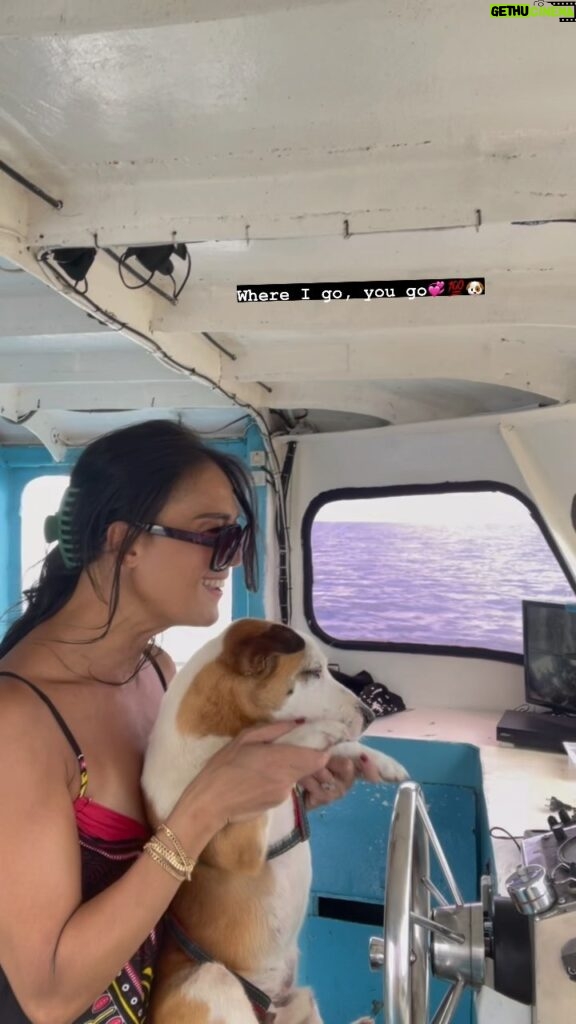 BB. Gandanghari Instagram - #FinalDestination: first things first… 🐶 . There’ll be a whole process for Bogart to travel internationally, while I need to travel back to the US soon… What to do⁉️ So help me God…🙏 . Thank you @pettogotransportation for Bogarr safe sea and land travel from Surigao to doorstep. 💯👌 . #TravelWoes #RescueMe #RescueDog #RescueMom #Rescue 🙏