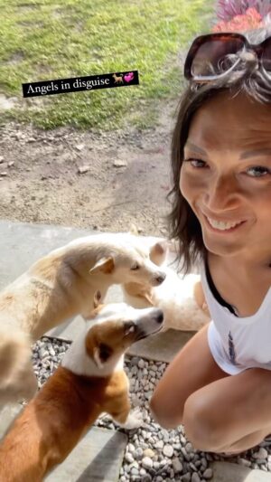 BB. Gandanghari Instagram - #Furmama: Three’s company… Whitey, Bogart and George… pick your choice 🐕💞💋Absence makes the heart grow fonder❣️I miss you Imman🌹. #BBGandanghari #Siargao #Travel #ThreesCompany #MansBestFriend #islanddogs #EPBliss 😘