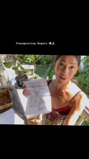 BB. Gandanghari Instagram - #Transporting… Bogart🐶 
.
Thank you Shai and Mark of Pet to Go Transportation, @pettogotransportation, for facilitating Bogart’s safe travel.🙏🐕💯
.
I cannot fully express how I’m feeling at this point. I’m a furmom for more than 15yrs, I feel the connection, yes, that I need Bogart as much as he needs me… 
am I ready? 💔
Am I ready to be a mom, a furmom… again⁉️
I will surely be needing a lot of help.💯🙏🛫
.
#BBGandanghari #Bogart #Rescue #RescueMom #RescueDog #EmotionalSupportDog #BBbogart 💯❣️