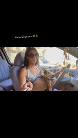 BB. Gandanghari Instagram - #Grooming: on the way… 🐶
.
to the grooming salon was very stressful at that time bec Bogart’s first grooming experience in siargao traumatized him. And so I am hoping against hope right at this moment of recording, that bogart will be handled well and not be terrified. Remember, Bogart’s from the streets of siargao when I met him, he’s an island boy… he’s terrified with these things, he’s not used to these things. So when we got to the car and he went to my lap, I knew then, how much this boy mean to me now… ❣️💯👩🏻‍⚕️
.
#BBGandanghari #BBG #bogart #Rescue #RescueMom #RescueDog #EmotionalSupportDog 🐕💯💕❣️