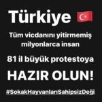 Başak Sayan Instagram - Kendini bu dünyanın en üstün varlığı gören zavallı insanoğlu! Sen bir hiçsin! Kendi yarattığın sahte dünyadanda her şeye hükmedebileceğini zannediyorsun ama kendi nefsini bile kontrol altına alamayan aciz bir zavallı olarak değil dünyaya hükmetmek kendine bile hükmedemezsin. İstediğin kadar kumdan kaleler yap! İstediğin kadar değerli zannettiğin kağıt biriktir! İstediğin kadar istifle! İstediğin kadar korunaklı duvarlar inşa ettiğini zannet! Bir depremle, bir selle, bir kıtlıkla efendisi olduğunu zannettiğin dünyan yerle bir olur! Bu gezegen üzerinde yaşayan bitkisinden hayvanına var olan tüm canlıların tek bir kaynağa bağlı olduğunu idrak edemeyen zavallı! Sonun milyonlarca yıl önce kurduğun ve yerle yeksan olan o medeniyetler gibi olacak! Her şeye en baştan başkayacak ama bir adım ileri gidemeyeceksin! Çünkü sen var olan yaratıkların arasında en acımasız, en korkunç, en cani ve ne acıklı ki tam tersini zannetsen de en akılsız olanısın! Yaşadığını yaşamadan, sözüm olan inandığın dinlerin emrettiklerini dahi anlamayan aptal! Öyle aptalsın ki nefes alman bile gereksiz aslında! İki yüzlüsün! Dışarıya ahlaklı maskesi takıp evde çocuklarını taciz ediyor, pis emellerin için bu dünyanın en masumlarını, çocukları ve hayvanları kullanıyorsun! Dininin sana yasakladığı yalan senin var oluş şeklin zaten. Okuduğunu dahi anlamayan beyinsiz! Sen bir canlıyı öldürerek aslında neyi öldürdüğünün farkında dahi değilsin! Kutsal Kitaplarının her şeyin O olduğunu anlatmak için kullandığı meselleri, alogorileri gerçek sanan şapşal! Öyle acınası bir mahluksun ki yok olsan keşke! Sen bu dünyanın kanser hücrelerisin! Ve dünya daha evvel defalarca yaptığı gibi atacak o hücreleri üzerinden! Yok olacak batasıca medeniyetin! #sokakhayvanlarısahipsizdeğil Not: Lütfen bu hastag ile Konya’da olanlara sen çıkartın! Susmayın! Bu düzenin çarkına susarak bir taş da siz döşemeyin! Ve lütfen, eğer çocuklarınıza kalacak bir dünya olsun istiyorsanız bu protestoya katılın! Her şeye zaman ayırıyorsunuz. Bir kez de bunun için ayırın! Hayatınızda ilk kez kendi bencilliklerinizden sıyrılıp bütün için bir şey yapmayı deneyin! Ne yaparsanız katlanarak size geri gelecek unutmayın!