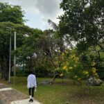 Baek Jin-hee Instagram - 🌴🌴🌴🌴