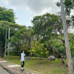 Baek Jin-hee Instagram - 🌴🌴🌴🌴