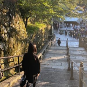 Baek Jin-hee Instagram - 🤍🐰🤍