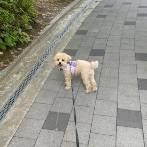 Baek Jin-hee Instagram - 행복은 너한테있었어🫶🏻